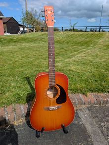 Art & Lutherie Cedar Acoustic Guitar