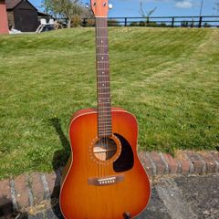 Art & Lutherie Cedar Acoustic Guitar
