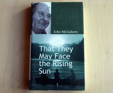 Great Irish Writers collection (Irish Independent)