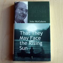 Great Irish Writers collection (Irish Independent)