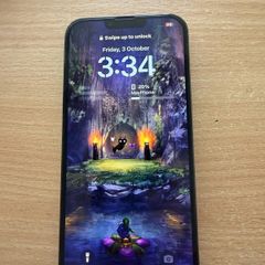iPhone 13 Pro Max 512Gb Alpine Green unlocked plus extras