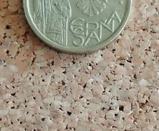 Spanish pesata