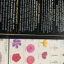 The RHS A-Z Garden Encyclopedia (Hardbck, 1996) Image 6