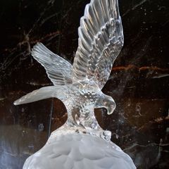 Crystal D'Arques Eagle