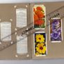 Wills's Cigarette Picture-card Album  Of Garden Flowers Image 5