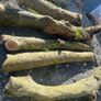 firewood Image 4