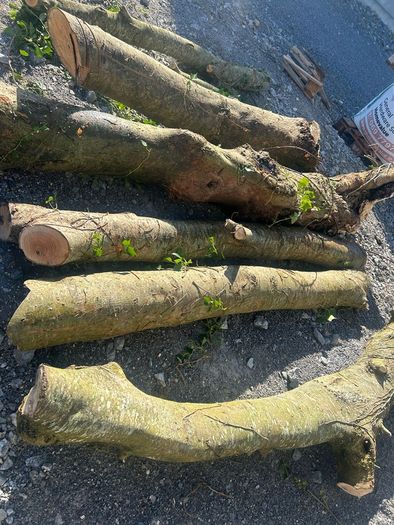 firewood