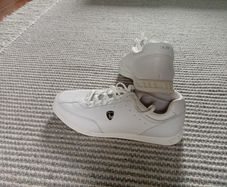 Polo sport shoes