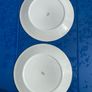 Pair of Arklow pottery plates Brownlea pattern Image 2