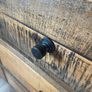 Solid wood sideboard Image 4