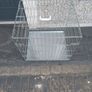 Small dog cage Image 3