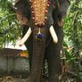 Elephant caparison, 40inch to 20inch, Handmade, Wall Decor, Nettipattam Kerala elephant decoration wall mount Image 4