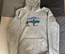 patagonia Hoodie M