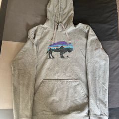patagonia Hoodie M