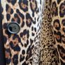 Animal print fleece jacket size 12 Image 5