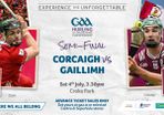 Cork V Galway - Lower Cusack