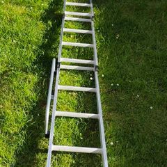 ladder