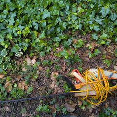 Hedge Trimmer Cutter