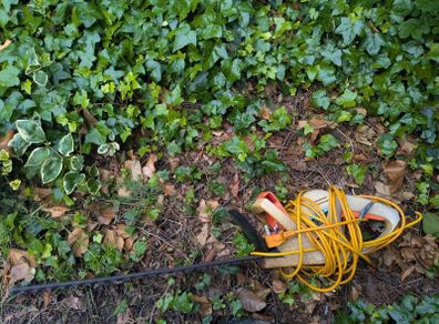 Hedge Trimmer Cutter
