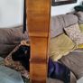 Unlabelled Cello full size Image 5