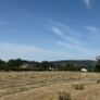 Small square Hay bales Image 3