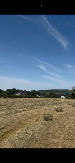 Small square Hay bales