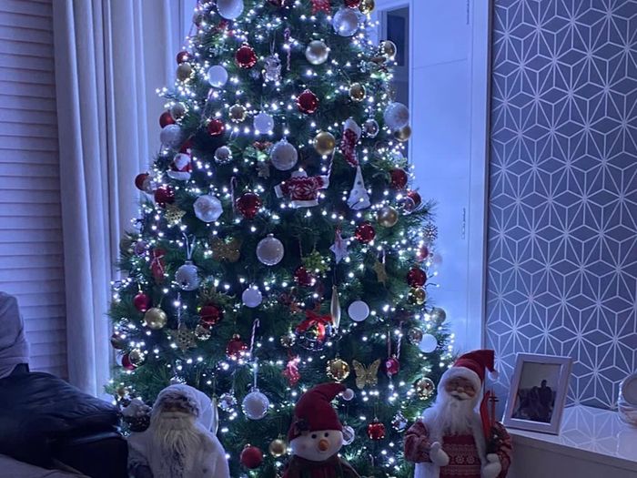 8ft Nebraska Christmas Tree Excellent Condition
