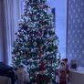 8ft Nebraska Christmas Tree Excellent Condition Image 2