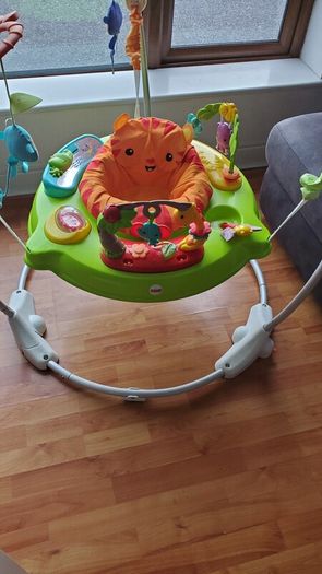 Fisher-Price Roarin' Rainforest Jumperoo