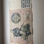 50 pound Irish 19-03-99 WRM 744954 Image 2