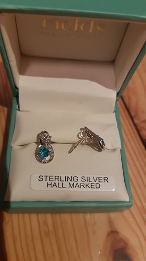 Fields earrings