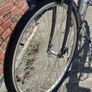 Reid Ladies Classic Vintage 7-Speed Bike Image 8