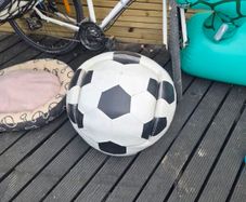 Free kids ball chair