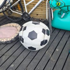 Free kids ball chair