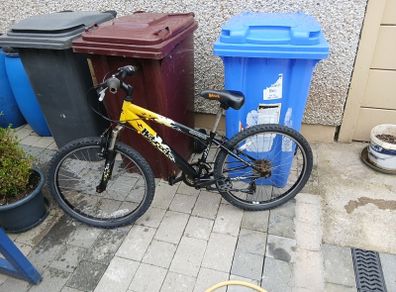 kids Bicycle