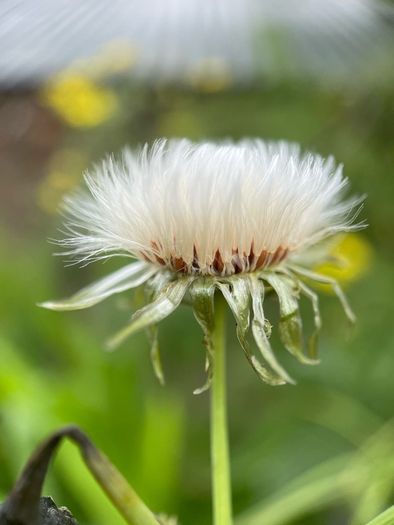 Various original macro nature photos on foam tiles