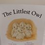 The Littlest Owl by Caroline Pitcher Image 4