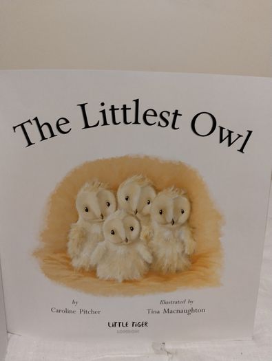 The Littlest Owl by Caroline Pitcher