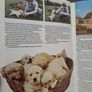 1978 Blue Peter Fifteenth Book Vintage BBC Annual Image 7