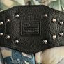 WWE mini wrestling Championship Image 3