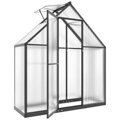 Aluminum Polycarbonate Garden Greenhouse with Adjustable Window and Hinged Door Weather-Resistant Transparent