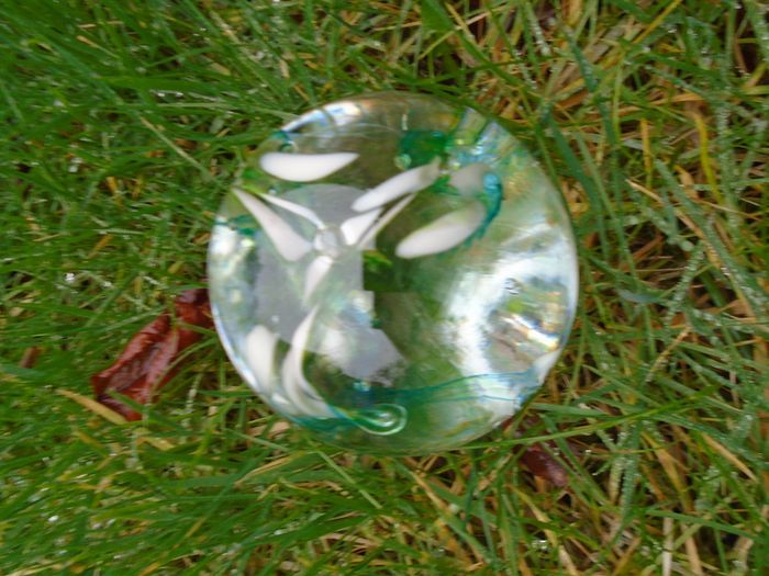 Glass paper weight, Home decor, Paperweight,art glass Coloured glass