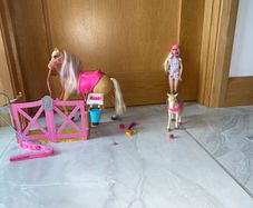 Barbie , horse , foal  with stable - horse mane changes colour