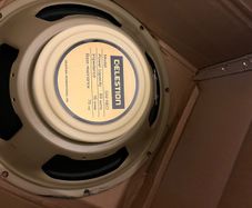 Celestion Neo creamback 16ohm speaker