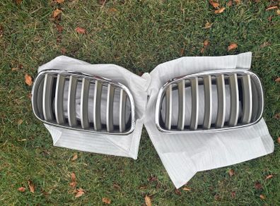 Genuine BMW X5 E70 Kidney Grilles