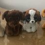 beanie boos Image 9