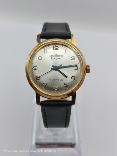 Pallas Eppo swiss men's watch