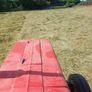 Hay ,square bale first cut Image 3