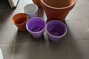6 plant pots 3 ceramic and 3 plastic