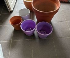 6 plant pots 3 ceramic and 3 plastic